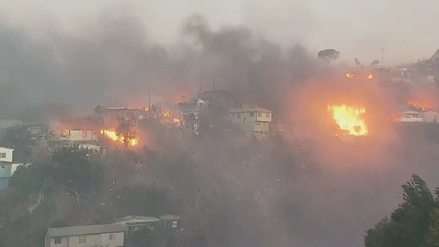 Čilėje įtarimų sukėlęs miško gaisras sunaikino du miesto rajonus