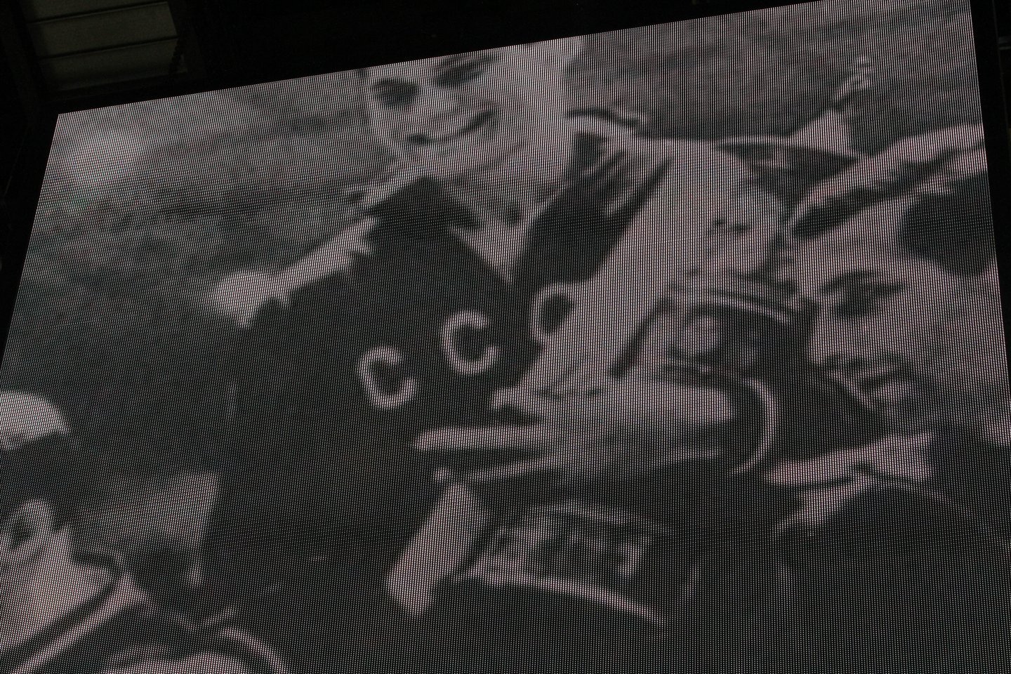70-mečio jubiliejus proga M.Paulauskas buvo pagerbtas "Žalgirio" arenoje, o jo marškinėliai pakilo į palubes.<br>M.Patašiaus nuotr.