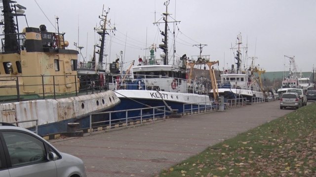 Dėl draudimų žvejoti menkes Baltijoje žvejų laukia krachas – kompensacijų negaus