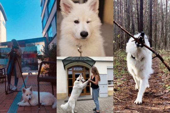 Prieš įsigyjant šunį, veisėja perspėjo šeimininkę – dabar suprato, kodėl