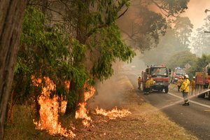 Australijoje dėl naujų krūmynų gaisrų evakavosi tūkstančiai turistų ir ugniagesių