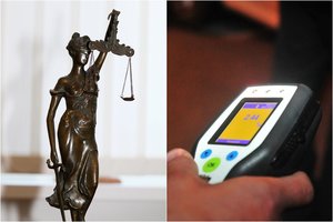 Prezidentas inicijuoja neblaivios už vairo įkliuvusios Alytaus teisėjos atleidimą