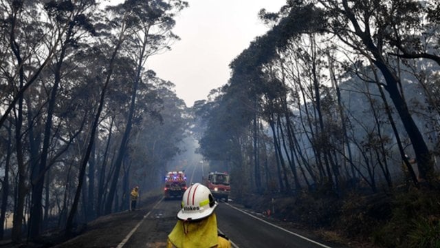 Dėl gaisrų skelbiama evakuacija: ugniagesiai negali visiems padėti