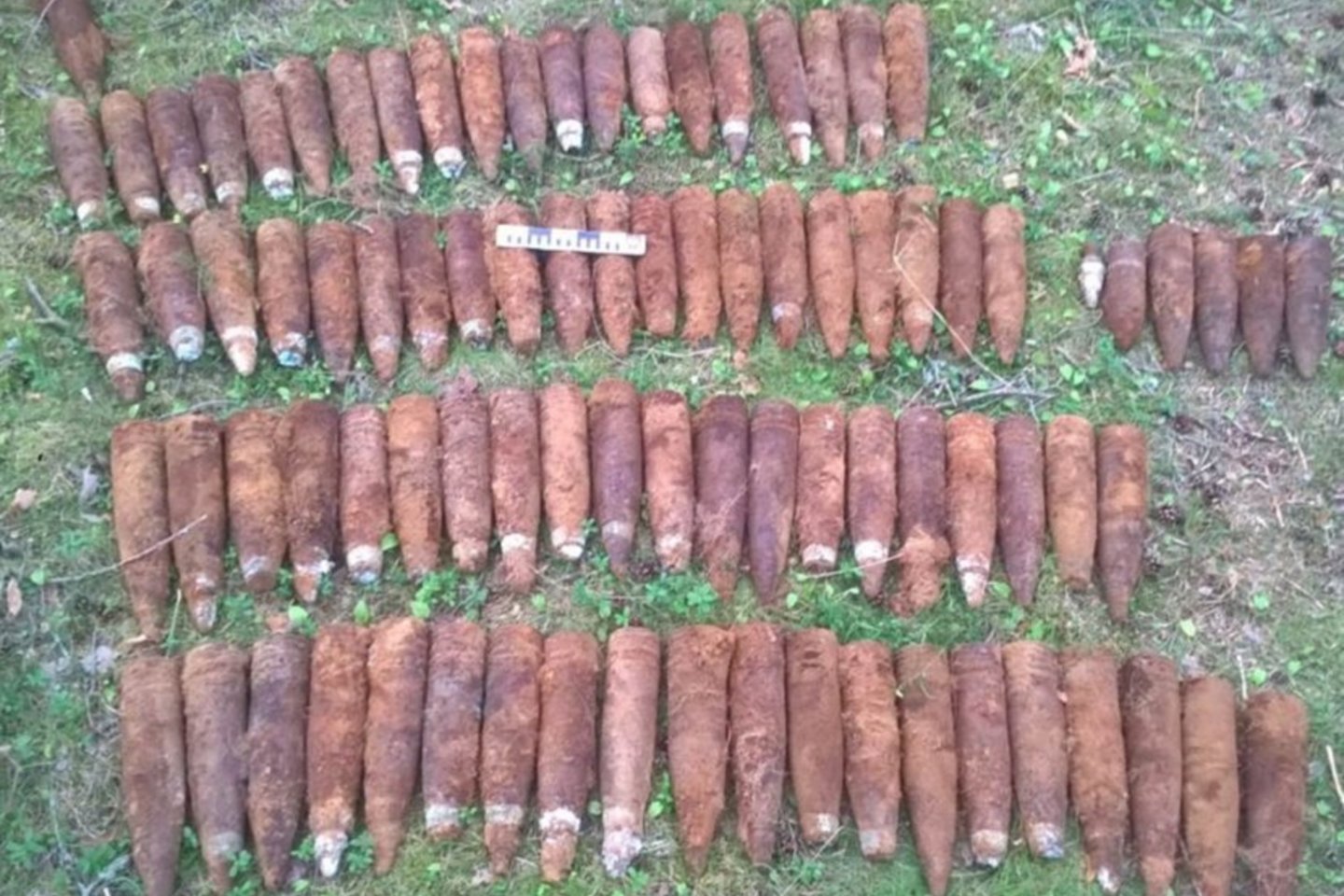 2019-aisiais Lietuvos kariai ieškojo pasiklydusiųjų, nukenksmino sprogmenis, gelbėjo skęstančiuosius ir kitaip padėjo civiliams.<br> Lietuvos kariuomenės nuotr.