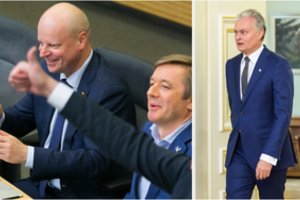 2020 m. politinėje padangėje nieko gero nežada: ramybės ir stabilumo nebus