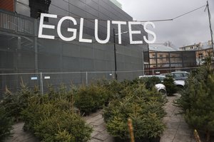 Vilniuje paruoštos 80 aikštelių: vežkite ten nupuoštas egles 