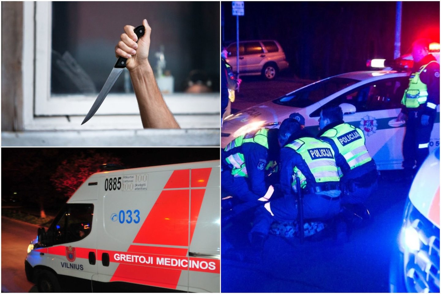 Prie Vilniaus rastas nužudytas vyras, Kaune mįslingomis aplinkybėmis mirė 18-metė.