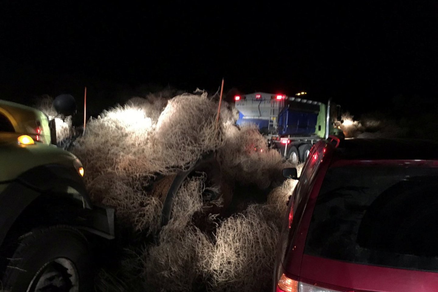  Vašingtono valstijoje JAV pareigūnai praleido 10 valandų ieškodami mašinų po kalnais vėjaričių augalų, užvertusių visą kelią.<br> Reuters/Scanpix nuotr.