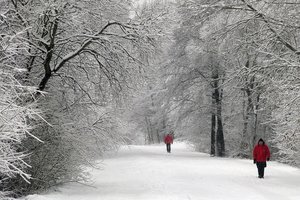 Kodėl pasnigus tampa taip tylu? Tam yra mokslinis paaiškinimas