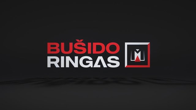 Bušido ringas 2019-11-29