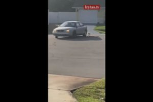 Automobilyje palikto šuns išdaiga – sustabdyti negalėjo net policija