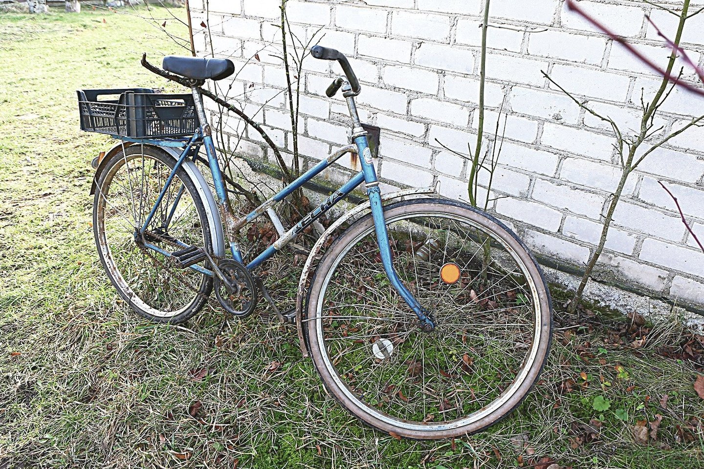 Visas R.Pikelio turtas – senas dviratis, kuris buvo paliktas bičiulio kieme.<br> G.Šiupario nuotr.