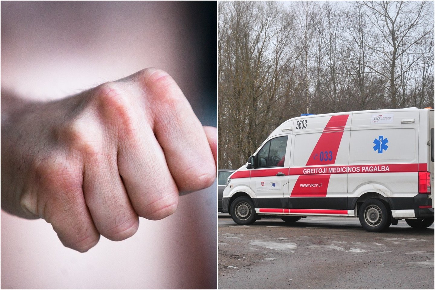 Girtas greitosios pagalbos pacientas sumušė į ligoninę jį lydėjusią slaugytoją.