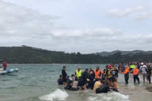 Naujojoje Zelandijoje tūkstančiai žmonių gelbėjo delfinus iš sausumos