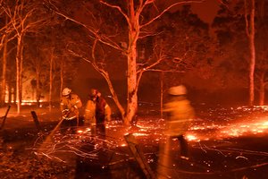 Gaisrų niokojamos Australijos ugniagesiams jau surinkta per 15 mln. eurų 