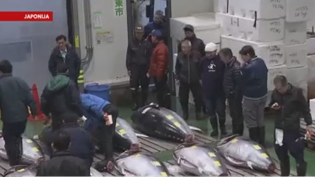 Japonijos verslininkas už tuną sumokėjo milijoninę sumą