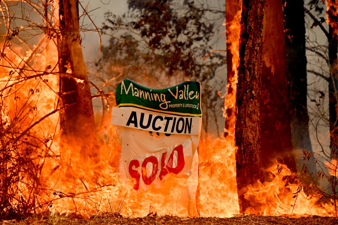 Australija bando kautis su krūmynų gaisrais.<br>AFP/Scanpix nuotr.