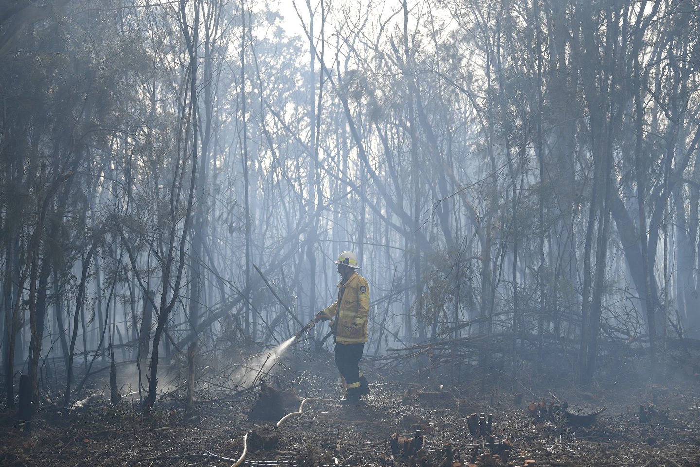 Australija bando kautis su krūmynų gaisrais.<br>AFP/Scanpix nuotr.