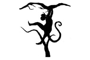 Ką pamatėte? Sužinokite, ar daug galite pasiekti