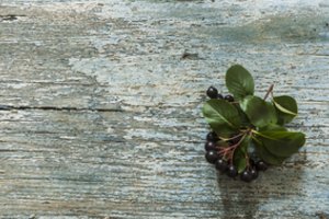 Rūgštus vitaminų šaltinis – juodavaisė aronija