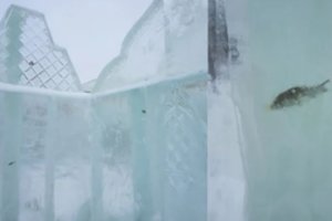 Ledo festivalyje pasišlykštėjo – pamatė, kas įšalo skulptūrose