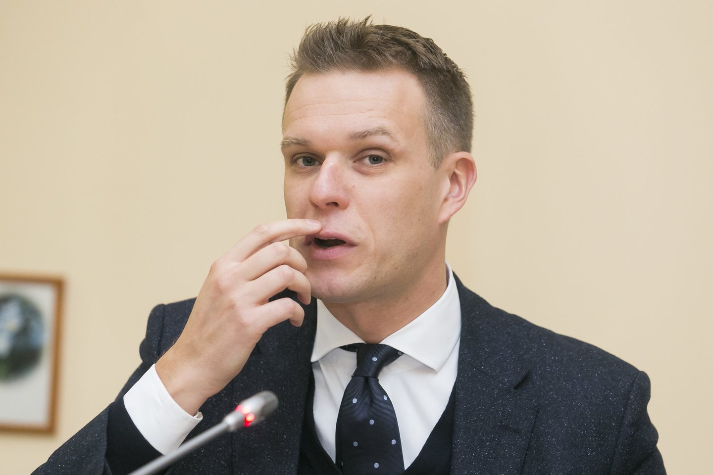 Savo siūlymą stabdyti projekto svarstymą G.Landsbergis argumentavo tuo, jog ši versija – nebeaktuali, nes darbo grupė prie Kultūros komiteto yra parengusi naują įstatymo projekto variantą.<br>T.Bauro nuotr.