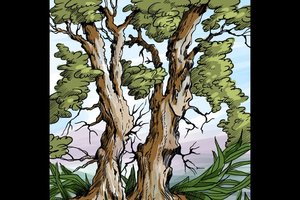 Kas čia slepiasi? Pasitikrinkite savo sugebėjimus