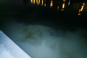 Aplinkosaugininkai „Grigeo“ tikrinti neskuba: į vietą važiuos arba rytoj, arba poryt 