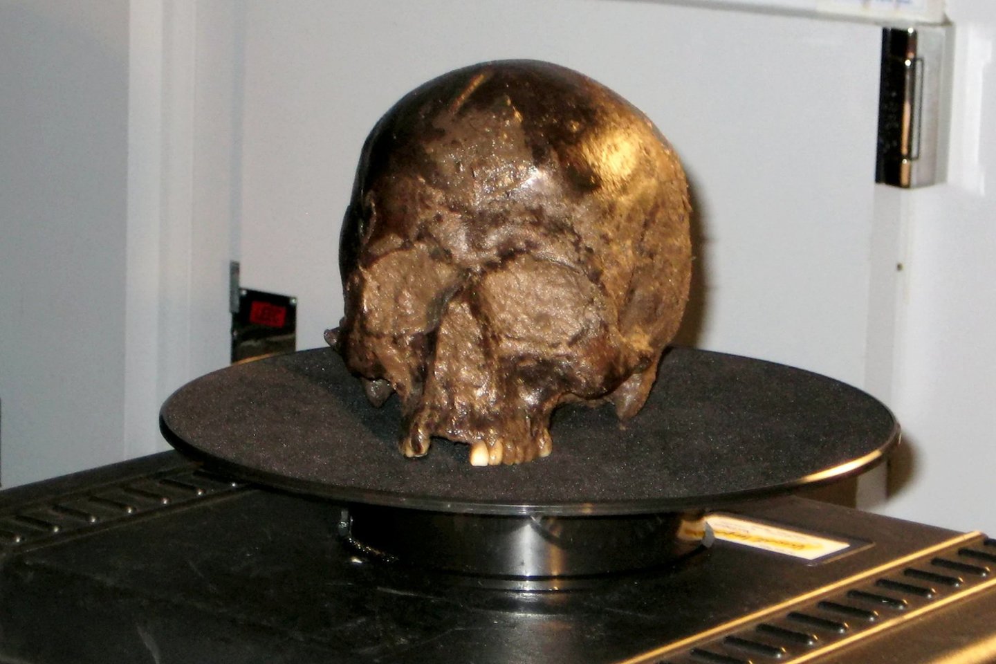  Heslingtono smegenys – tai 2600 metų senumo žmogaus smegenys, 2008 metais aptiktos Anglijoje.<br> Dr. Axelio Petzoldo nuotr.