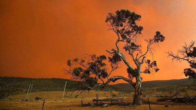 Australijos ministras pirmininkas baugina: nevaldomų gaisrų vis daugėja