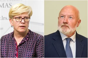 I. Šimonytė Valstybės kontrolės prašo rimto audito, E. Gentvilas – stiprinti kontrolę