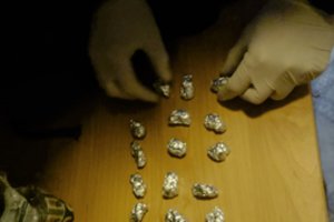 Tarnybinis šuo Mėta Plungėje rado 17-mečio laikytus narkotikus