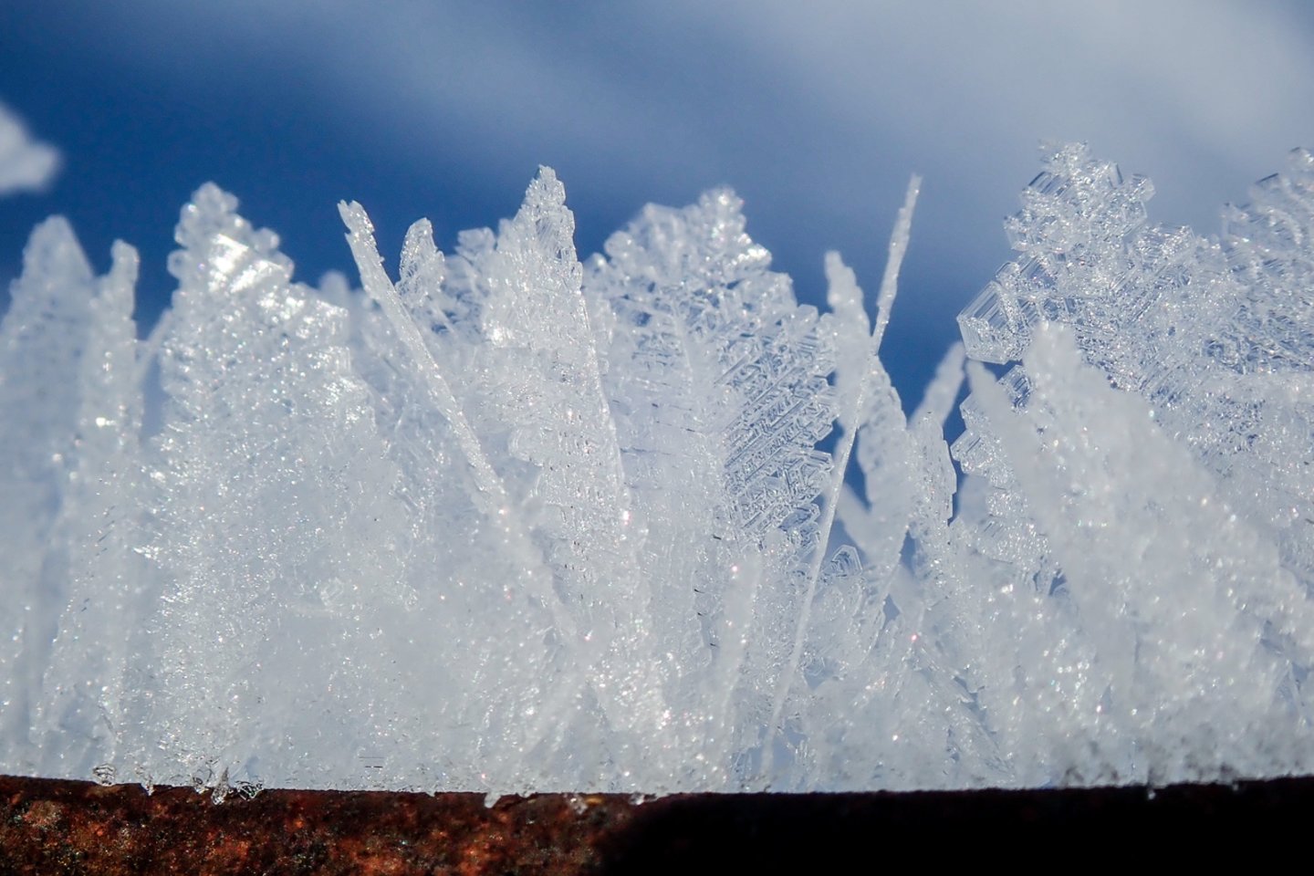 Gilūs žiemos šalčiai yra vis retesnis reiškinys mūsų šalyje.<br>V.Ščiavinsko nuotr.