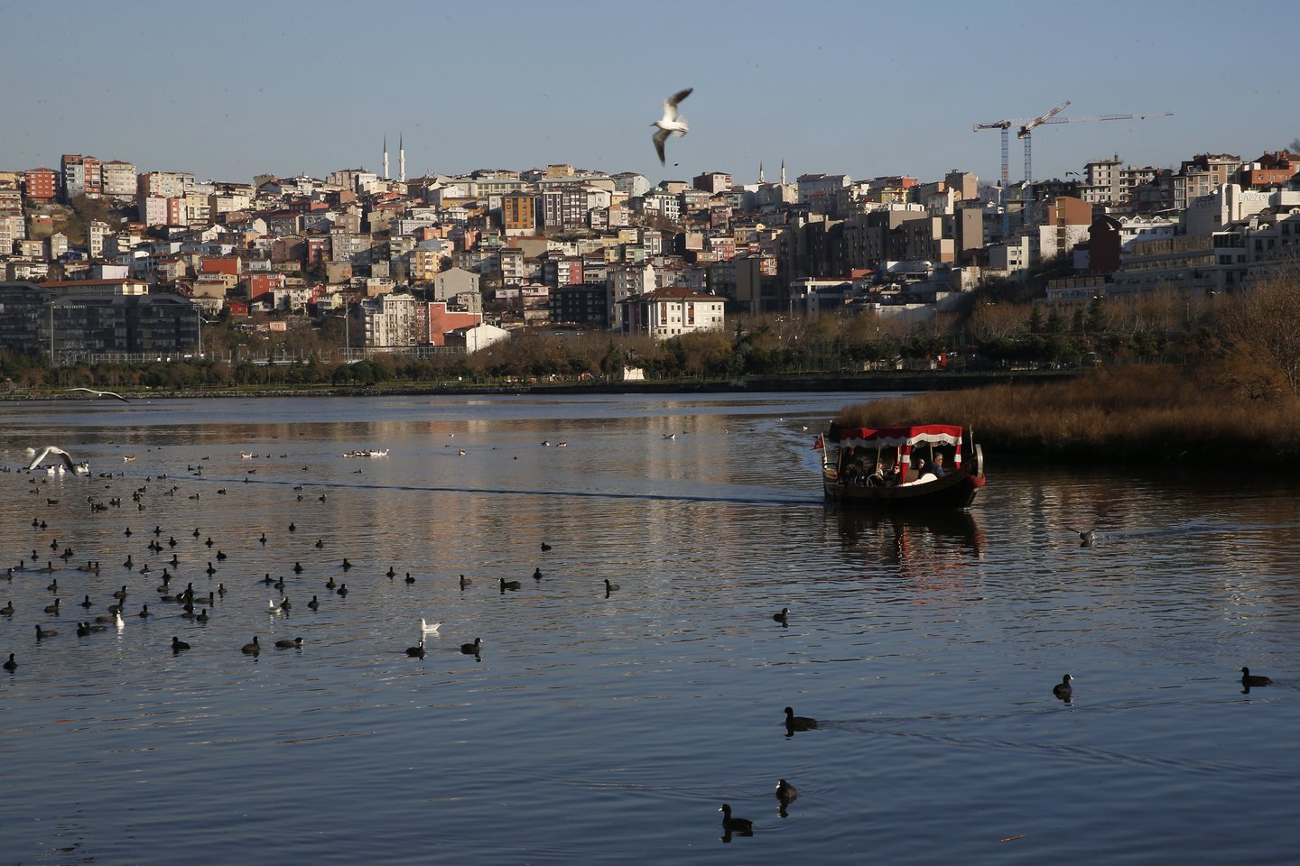  ​Turkijos gelbėtojai rado vieno iš trijų turkų žvejų, dingusių jų laivui netoli Stambulo susidūrus su Rusijos tanklaiviu, lavoną. Tai šeštadienį pranešė Turkijos televizijos kanalas „A Haber“.<br>AP/Scanpix nuotr.