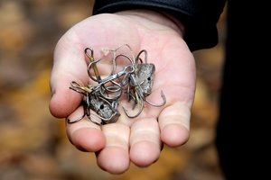 Aplinkosaugininkai: atliekų deginimo ir žvejybos pažeidimai – dažniausi