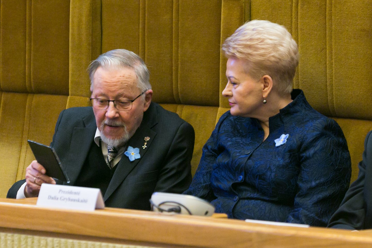 Iškilmingas Seimo posėdis Laisvės gynėjų dienai paminėti.<br>T.Bauro nuotr.