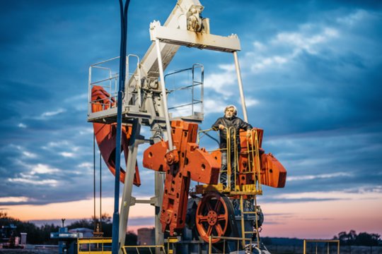 Geologas I. Šeštokas: neleiskime, kad mąstantį žmogų pakeistų žmogus – vartotojas