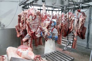 Į Kiniją iškeliavo pirma lietuviškos jautienos siunta