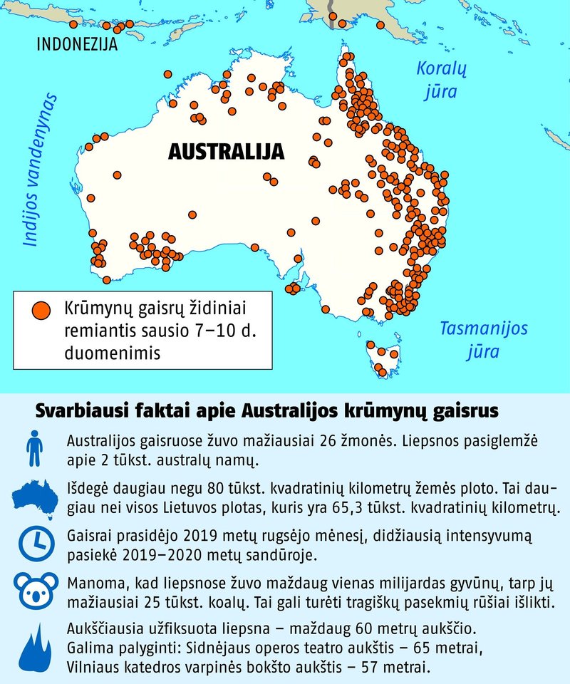 Krūmynų gaisrų sezonas Australijoje šiemet vienas ilgiausių ir intensyviausių. Skaičiuojama, kad liepsnose žuvo maždaug trečdalis koalų populiacijos.<br>lrytas.lt