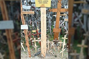 Siūlo nebeįleisti į Lietuvą kinės, niekinusios Honkongo aktyvistus remiančius kryžius