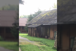 Įkalintas šuo Ignalinos rajone atnešė nemalonumų šeimininkei  – perspėja ir kitus