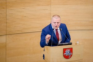 D. Gaižauskas apie buvusio VSD vadovo G. Grinos liudijimą: tikėjausi daugiau