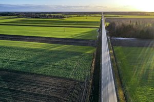 A.Palionis: pagal išmokas Lietuva yra gale