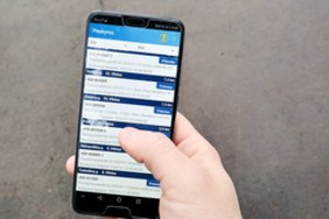 Meistrai atrado aukso gyslą