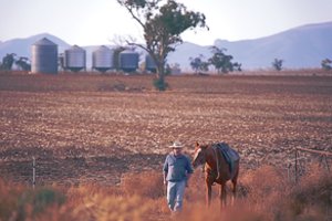 Pragariški karščiai keičia žmonių gyvenimą: atsigaivinti tenka neįtikėtinomis priemonėmis