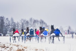 Šilti orai griauna dar vieną tradiciją: atidedamos Sartų žirgų lenktynės