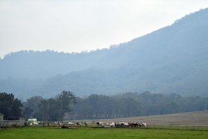 Dalis Australijos sulaukė ilgai laukto lietaus