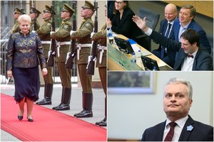 Buvęs D. Grybauskaitės patarėjas įsitikinęs – valdantieji tyčiojasi ir iš G. Nausėdos