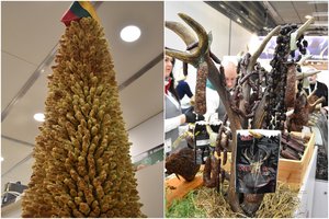 Berlyne prasideda „Žalioji savaitė“: skilandžių vokiečiai negaus – laužys milžinišką šakotį