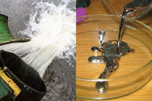 Kuršių marių tyrimo išvados: gyvsidabris ir azotas viršija leistinas normas